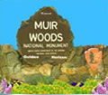 Muir woods Tours